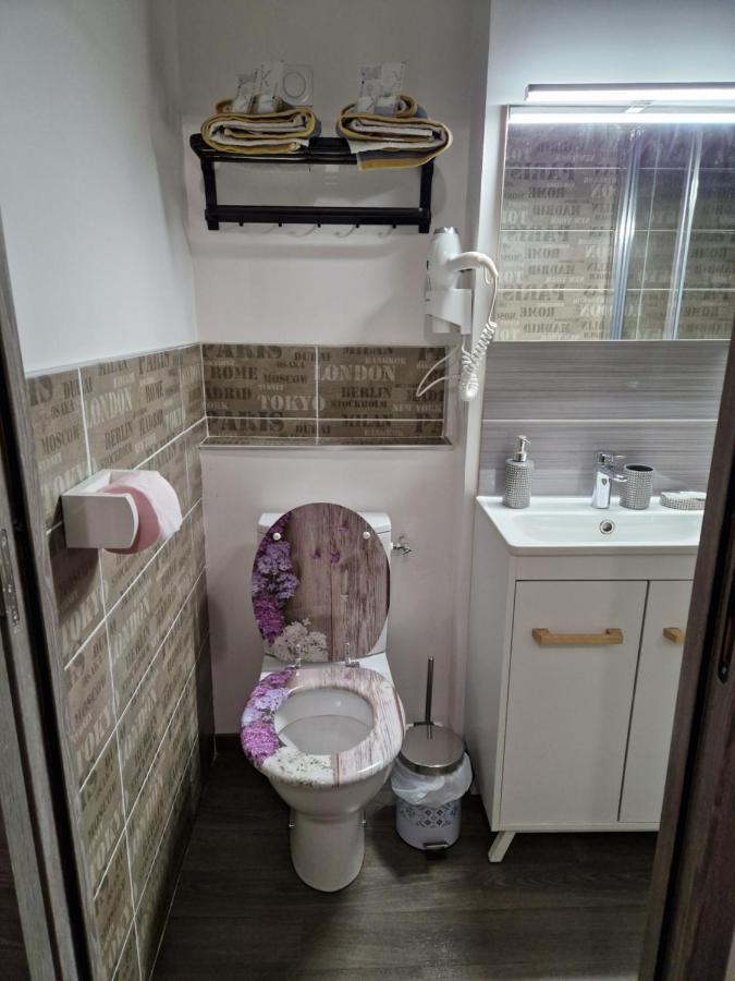 Studio Meuble Au Rdc , Proche Lac Aix-les-Bains Luaran gambar